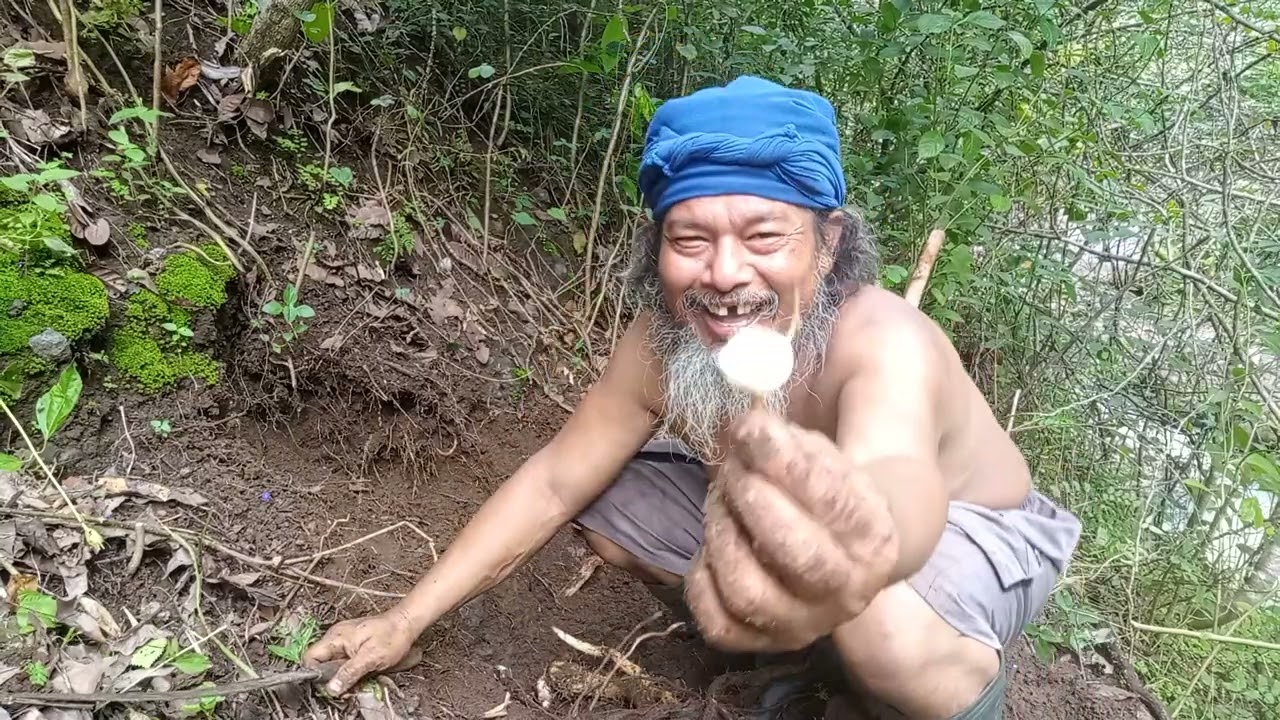 MBAH JENGGOT GAGAL MERAIH UMBI KARENA UMBINYA TERLALU KECIL