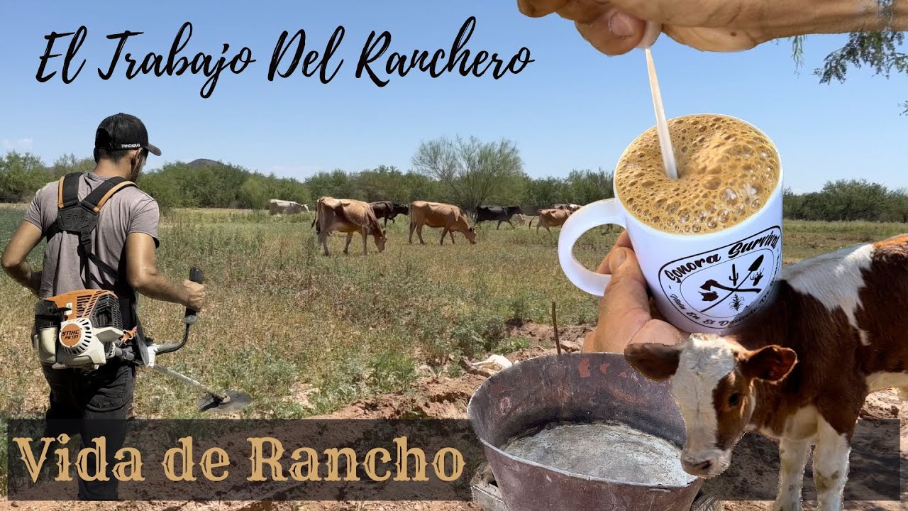 EL TRABAJO DURO DEL RANCHERO! || Supervivencia Sonora
