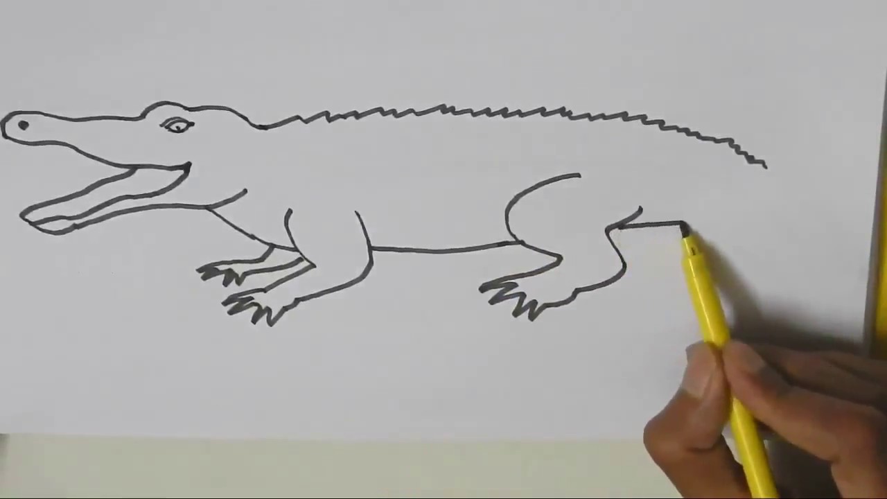 How to draw a Crocodile  - in easy steps advanced drawing lesson.