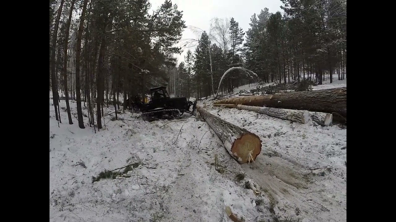 ЛЕСНОЙ МОНСТР ДТ-75 в деле  рубим лес одновременно с подбором сучьев