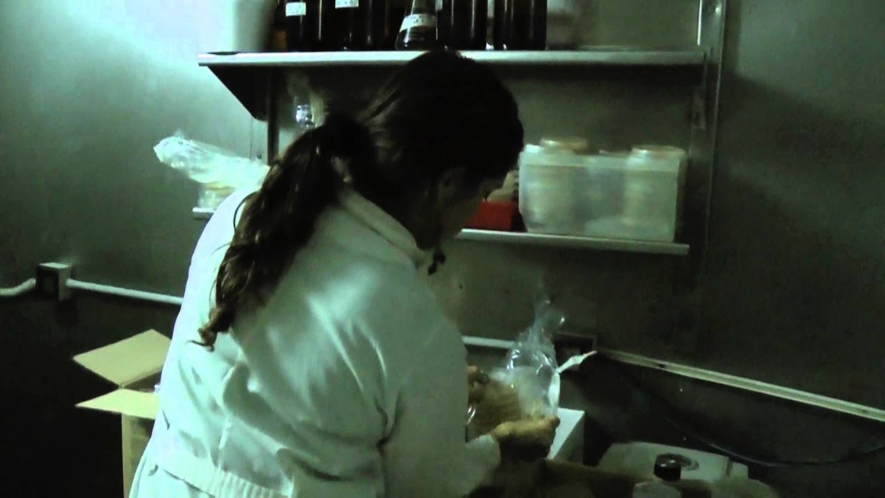 Ser biólogo molecular en Argentina