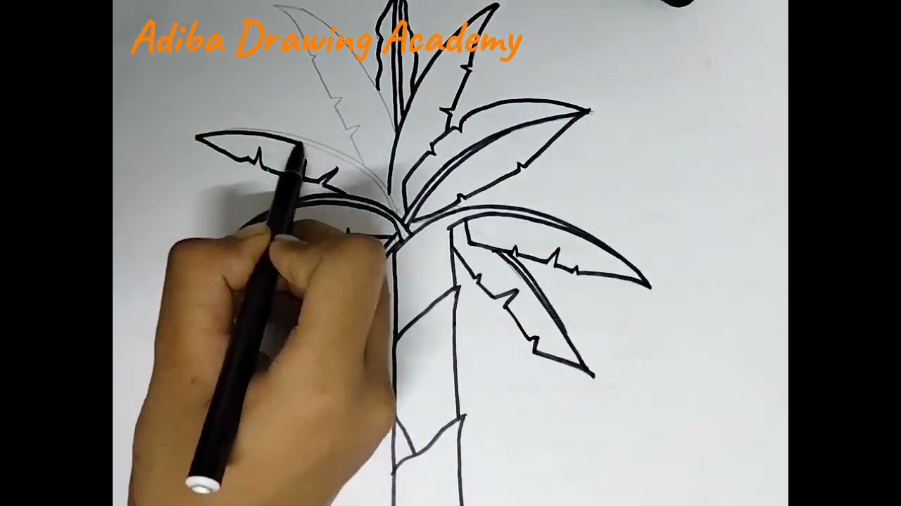 Banana tree art || Easy drawing idea || Tutorial for beginners 
