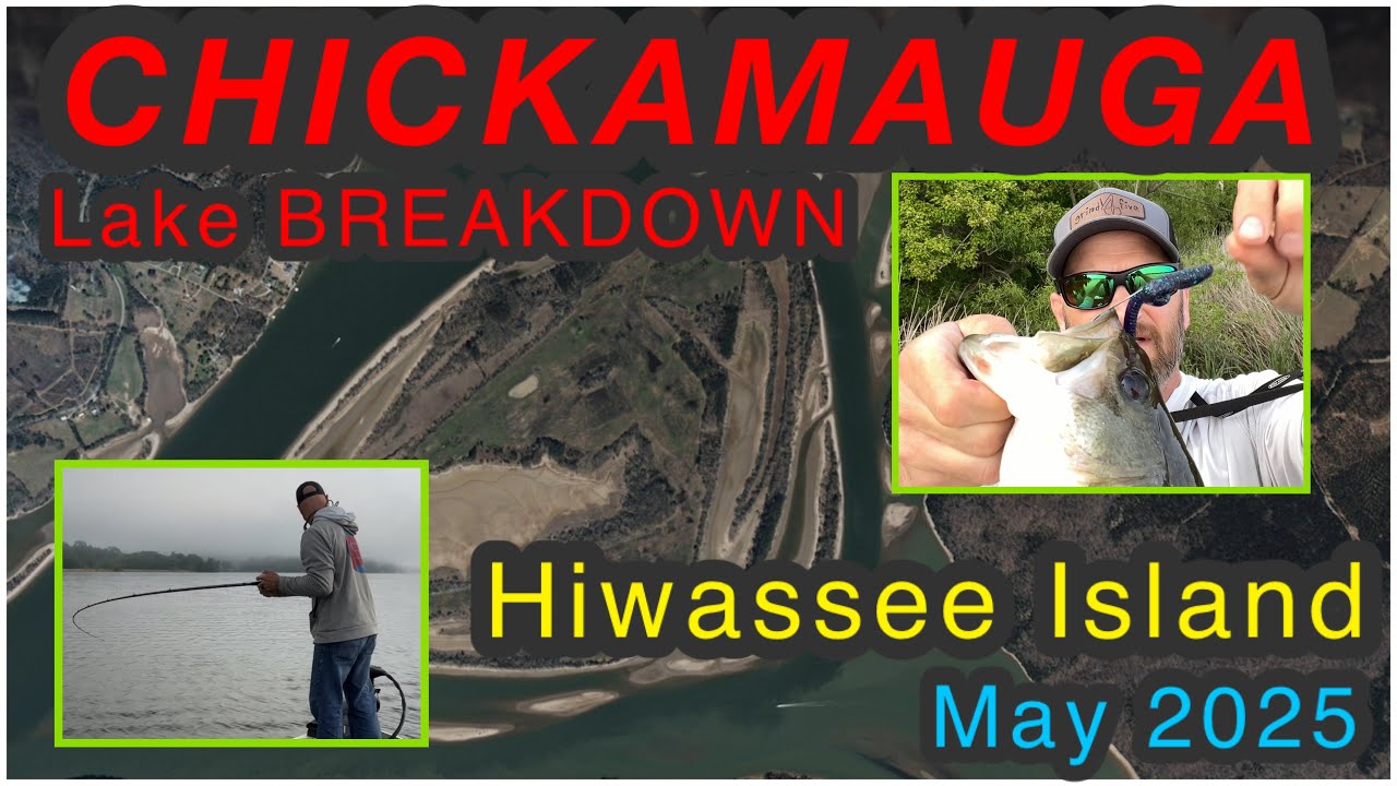 Chickamauga Lake Breakdown; Hiwassee Island Special