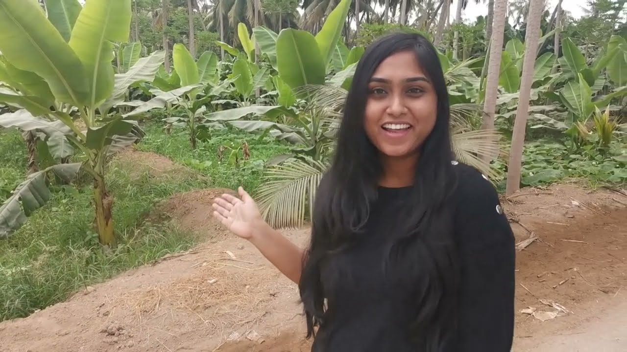 Fresh milk & Tender coconut in Salalah, Oman | Tamil