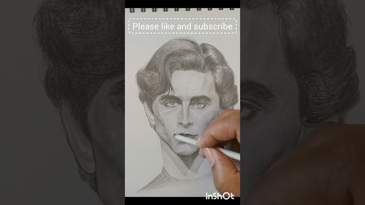 Timothe Chalamet  ISketch #shorts  #youtubeshorts