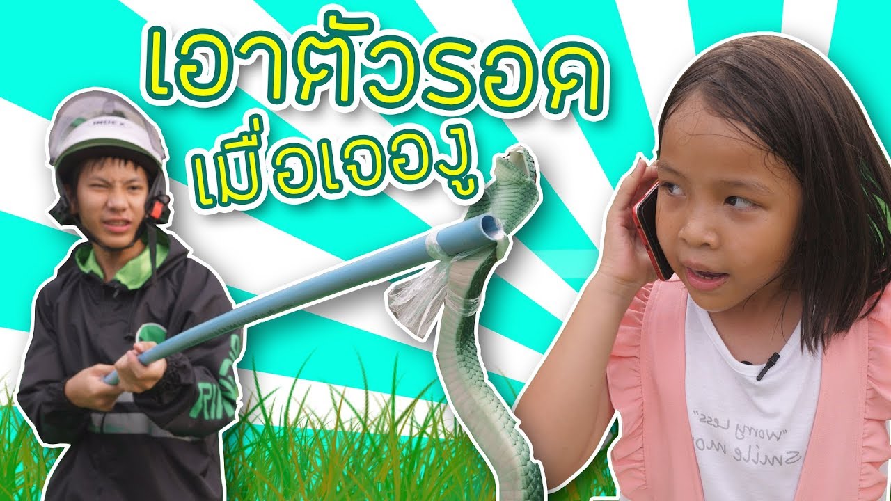 วิธีเอาตัวรอดเมื่อเจองู