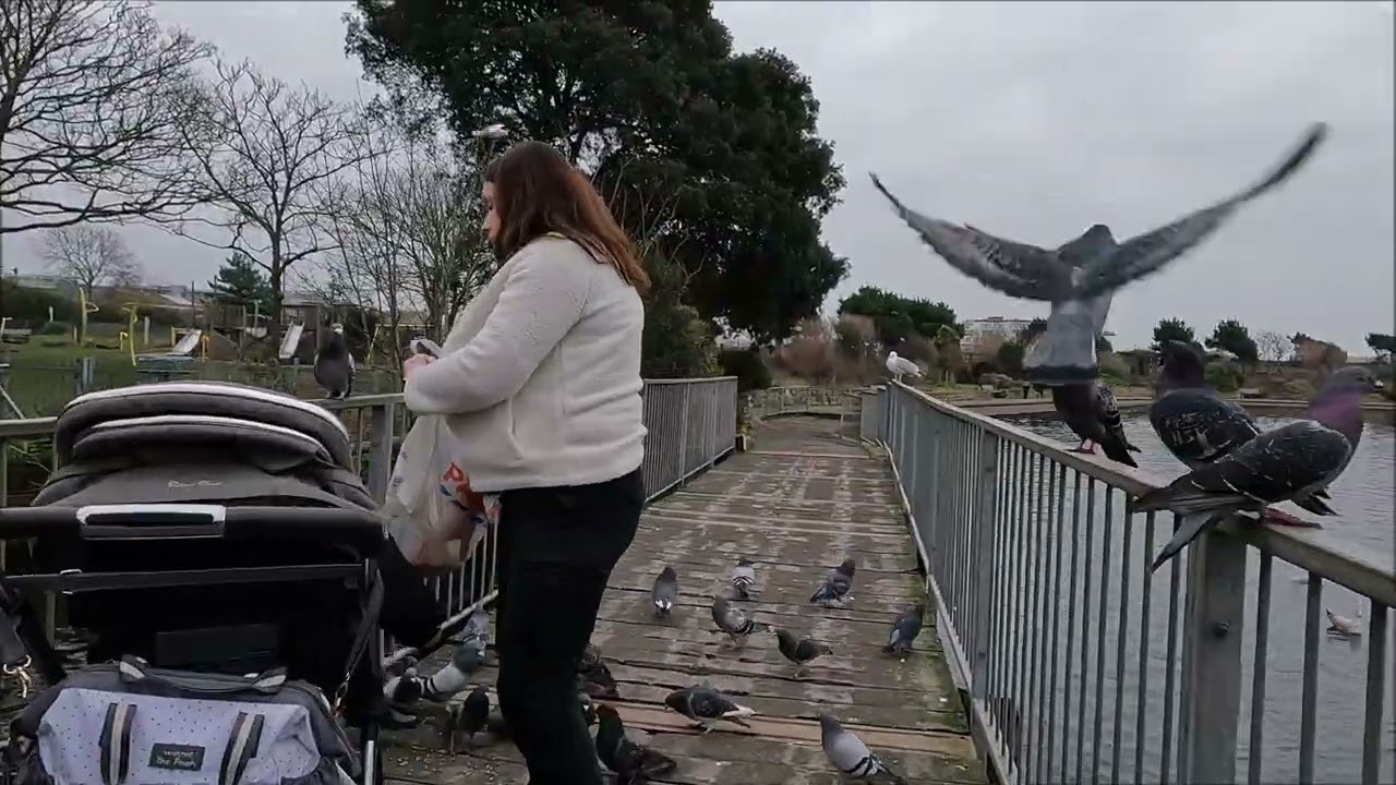 Virtual Walk - Princes Park - Eastbourne - February 2025 | kittikoko