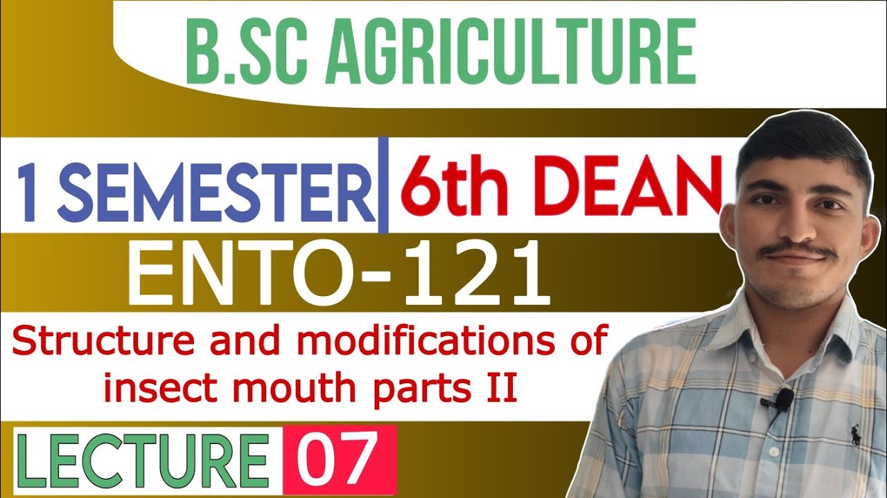 ENTO-121 II Structure and modifications of insect mouth parts II #07#entomology#ent-121