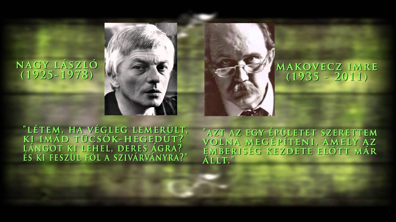A mi erdőnk - Visegrád és környéke