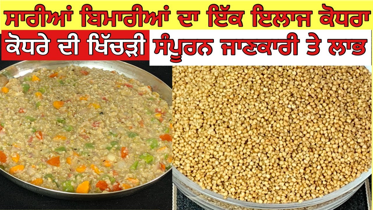 ਕੋਧਰਾ ਖਿੱਚੜੀ।कोधरा की खिचड़ी | Kodo Millets Recipe।सारे रोगों का एक इलाज़ ।कोधरा मिलेट पूरी जानकारी