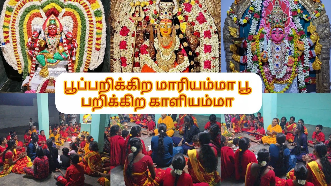 1 நம்பர் தோட்டத்துல பூப்பறிக்கிற மாரியம்மா பூ பறிக்கிற மாரியம்மா