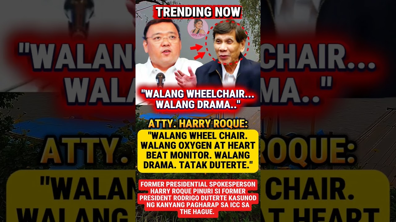 HARRY ROQUE: WALANG WHEELCHAIR, WALANG DRAMA #shorts