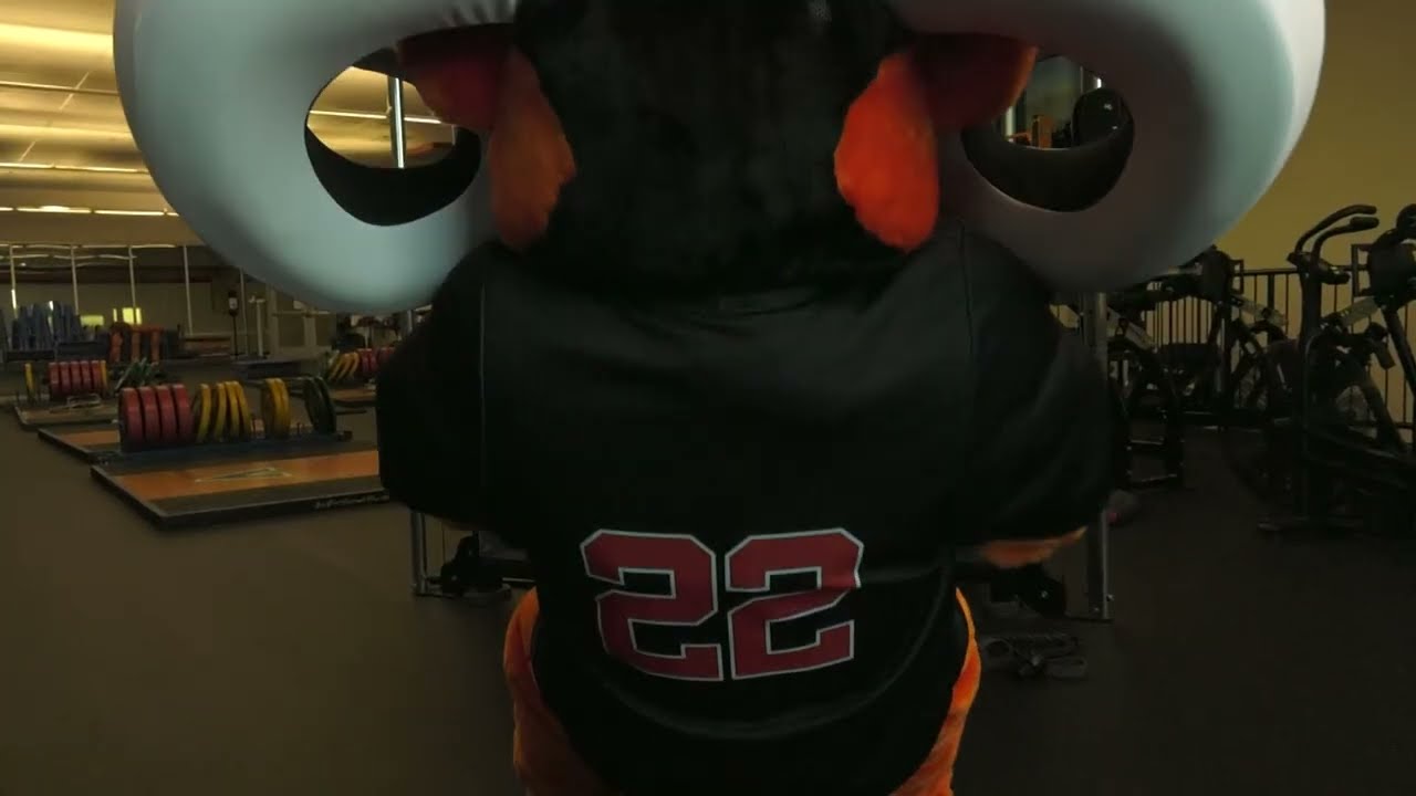 A New Era of the Rambler Has Arrived!