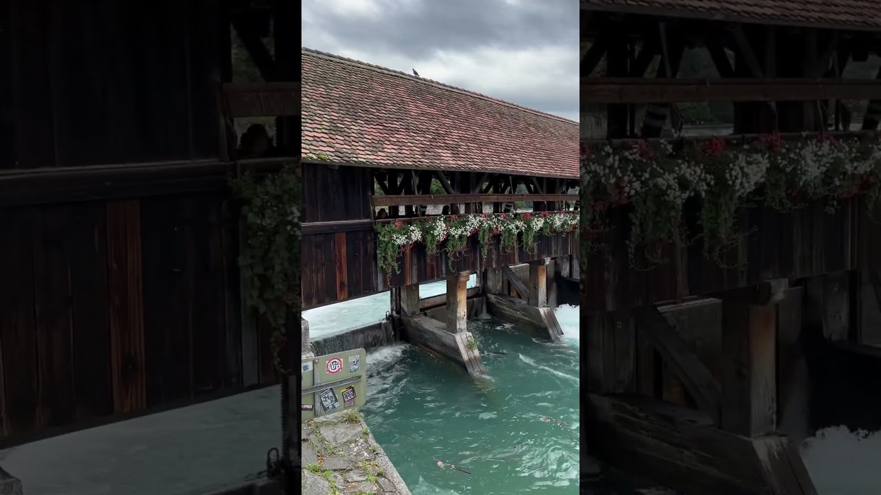 مدينة ثون السويسرية Thun🇨🇭🇨🇭