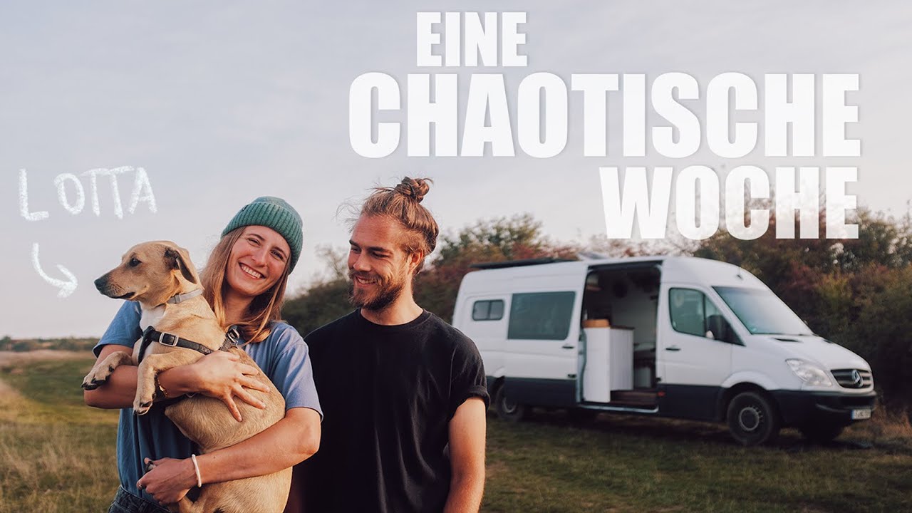 VANLIFE ZU DRITT - wir ADOPTIEREN einen STRAßENHUND | Vanlife Rumänien