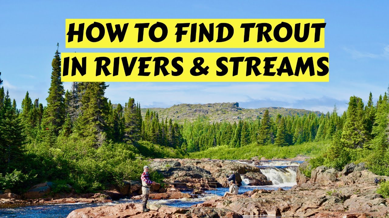 How To Find Trout in Rivers & Streams | Part One