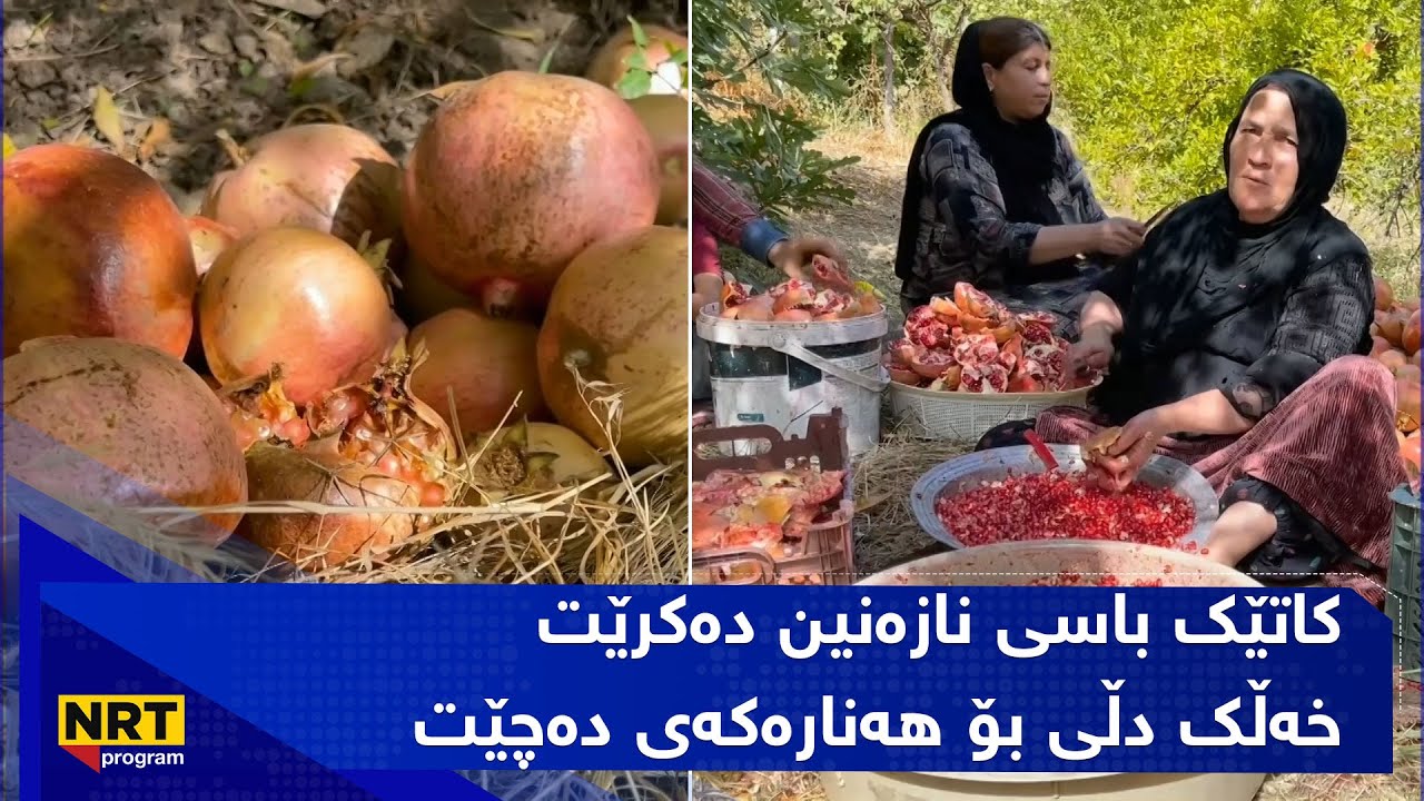 بەیانیانی گوندنشین - گوندی نازەنین