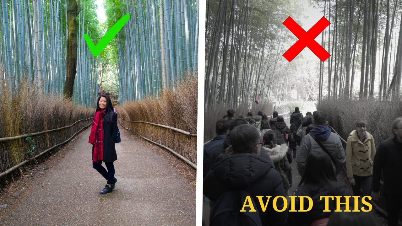 6 Things To Know BEFORE Visiting ARASHIYAMA BAMBOO FOREST