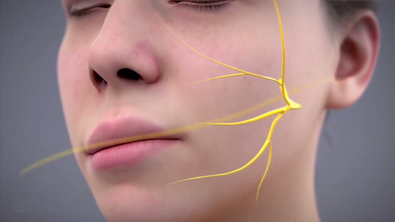 A PIONEERING SURGERY GIVES NICOLE HER SMILE