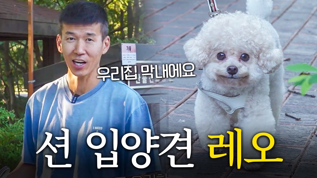 혜영이의 사랑을 독차지하는 막내 녀석... (입양 계기, 첫만남 썰)
