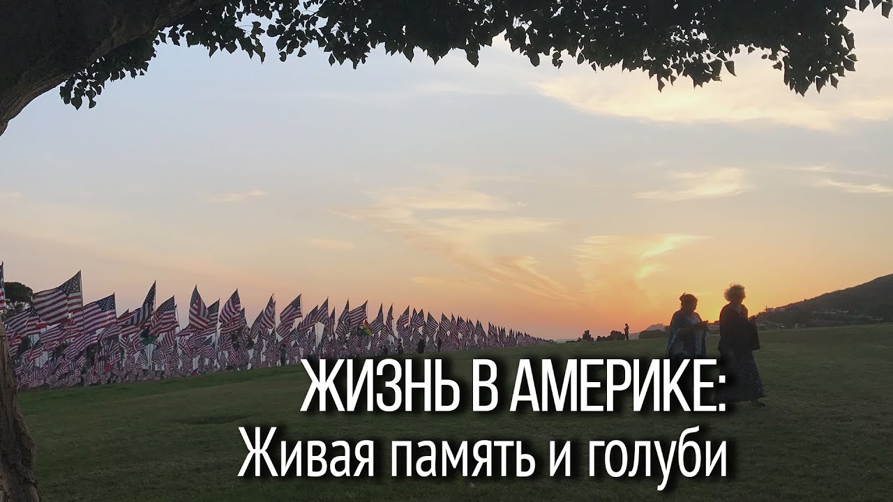 Жизнь в Америке: Арт-инсталляция в Малибу. Живая память и голуби мира.