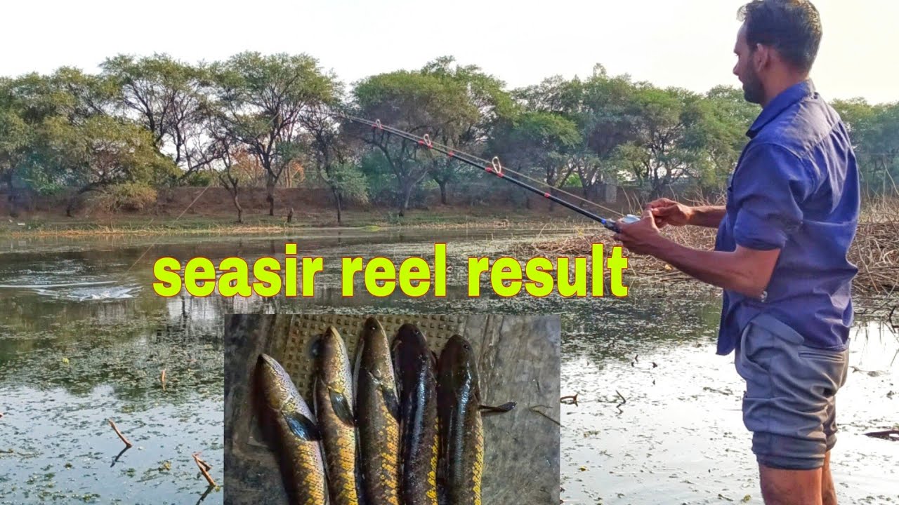 Seasir megacuda Bait casting reel snake head fishing best bait casting reel seasir