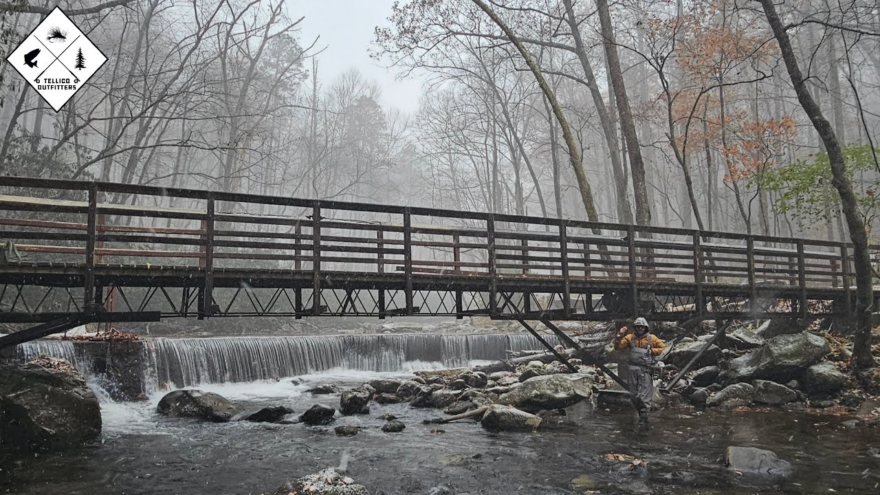 If You're Not Fishing on Days Like This...You're Missing Out! | Winter Fly Fishing | Tellico River
