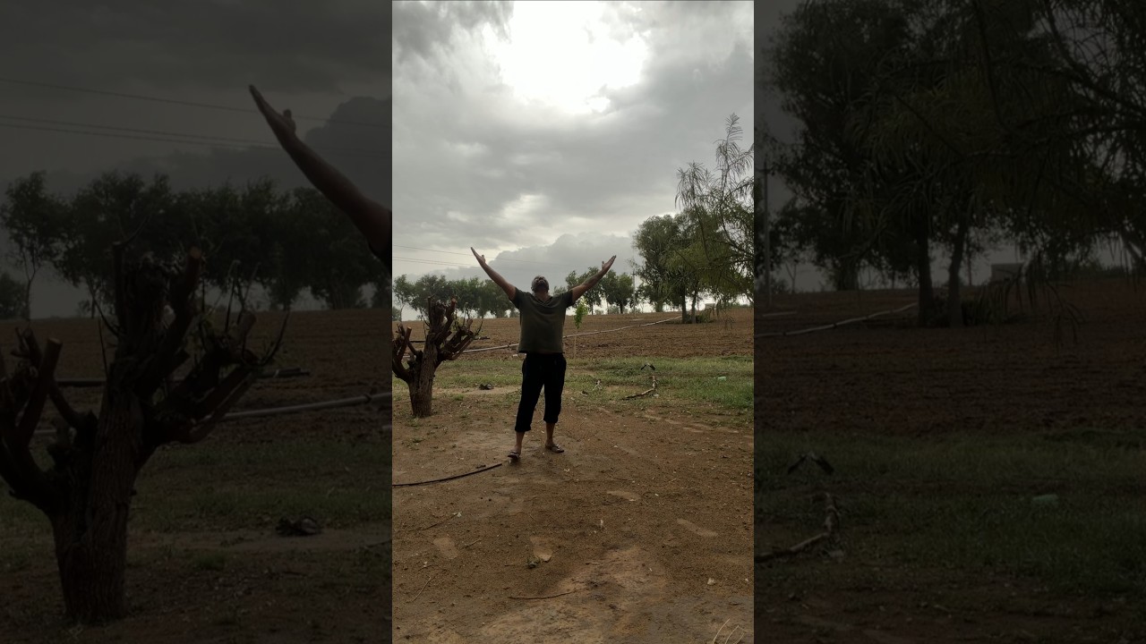 जर्मिनेशन भी शानदार, मौसम भी मेहरबान 🌱🌧️ #minivlog #dailyvlog #farmlife #kisanlife #shorts
