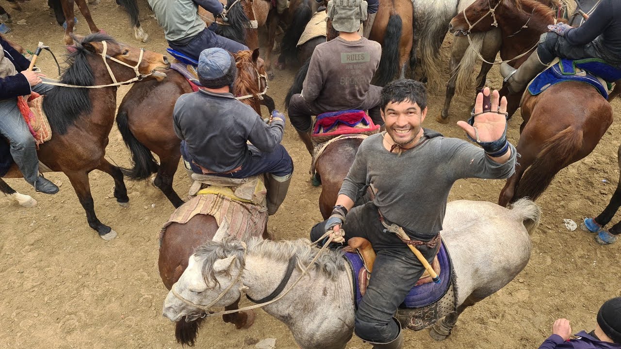 BUGUN SAMARQAND JOM KUPKARIGA KELGAN OTLARDI TANISHTIRAMIZ