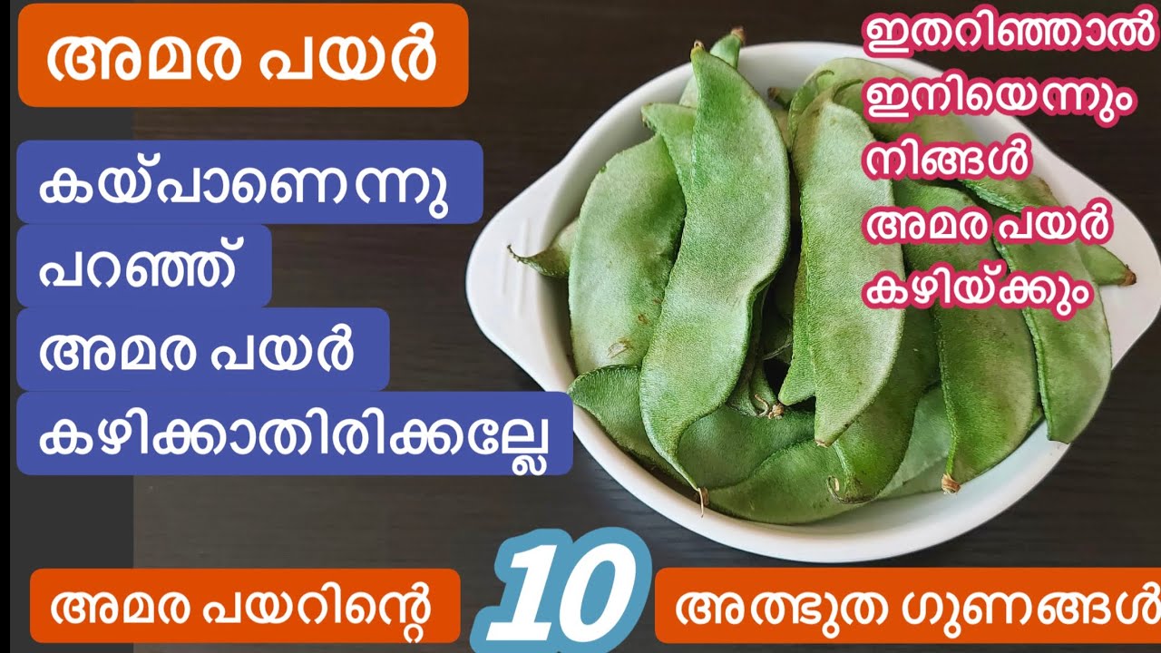 2നാടൻ അമര പയർ രുചിക്കൂട്ടുകൾ//Kerala Traditional Broad Beans Recipes//ഒരു പറ ചോറുണ്ണാൻ ഇതുമാത്രം മതി