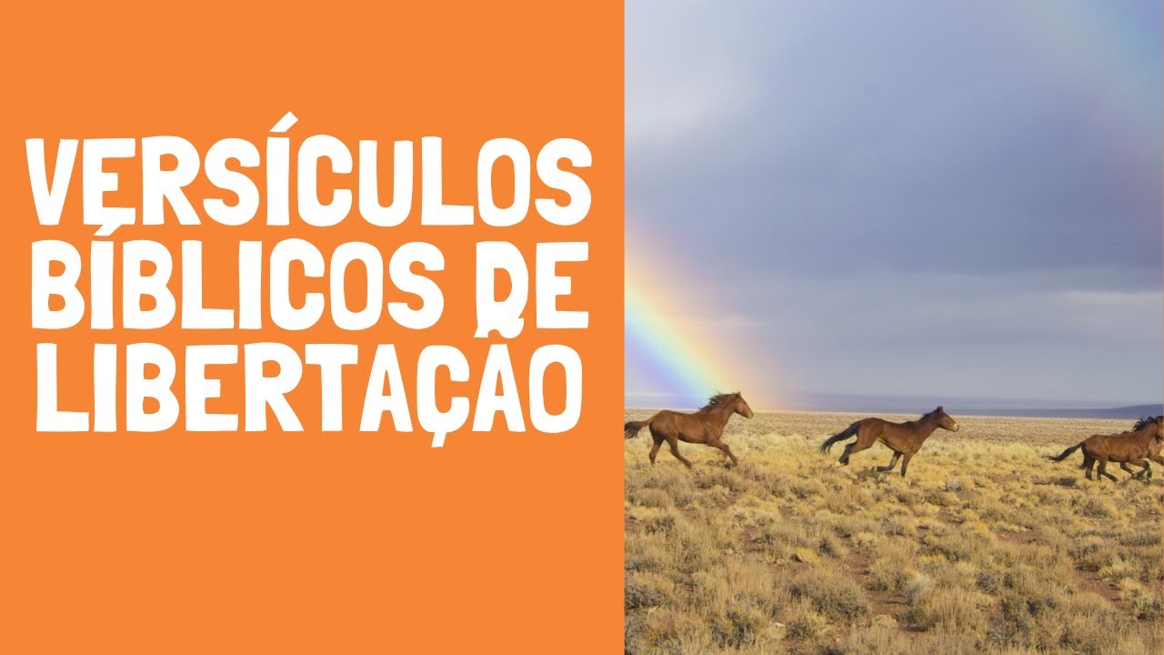 Versículos Bíblicos de Libertação!