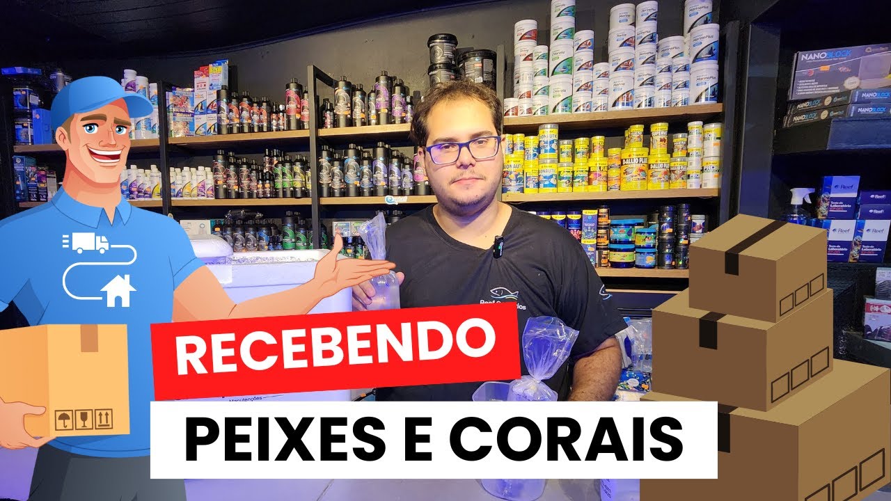Como receber e soltar: Peixes, Corais e Invertebrados que chegaram por envio