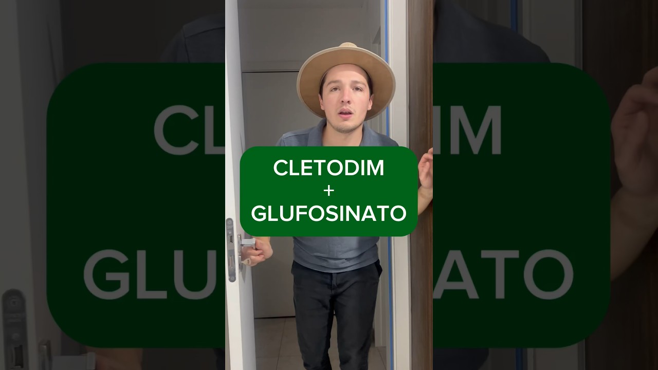 CLETODIM + GLUFOSINATO: SIM OU N&Atilde;O?? #herbicida #soja #manejo #diretodocampo #agricultura #agronomia