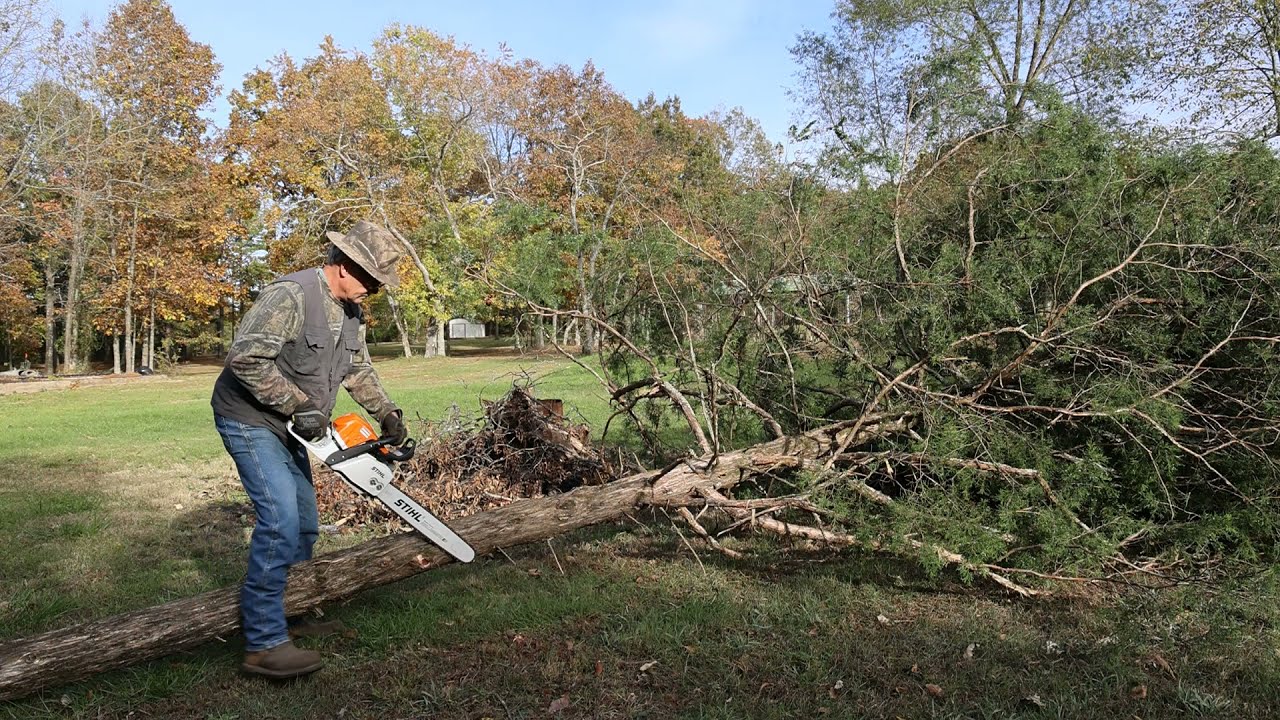 The Stihl MS 391 Why I like This Saw