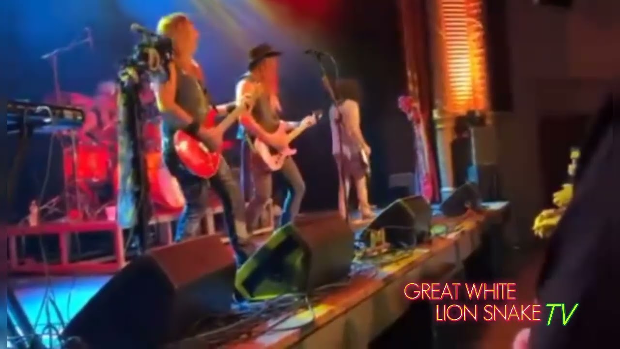 Great White Lion Snake performing 