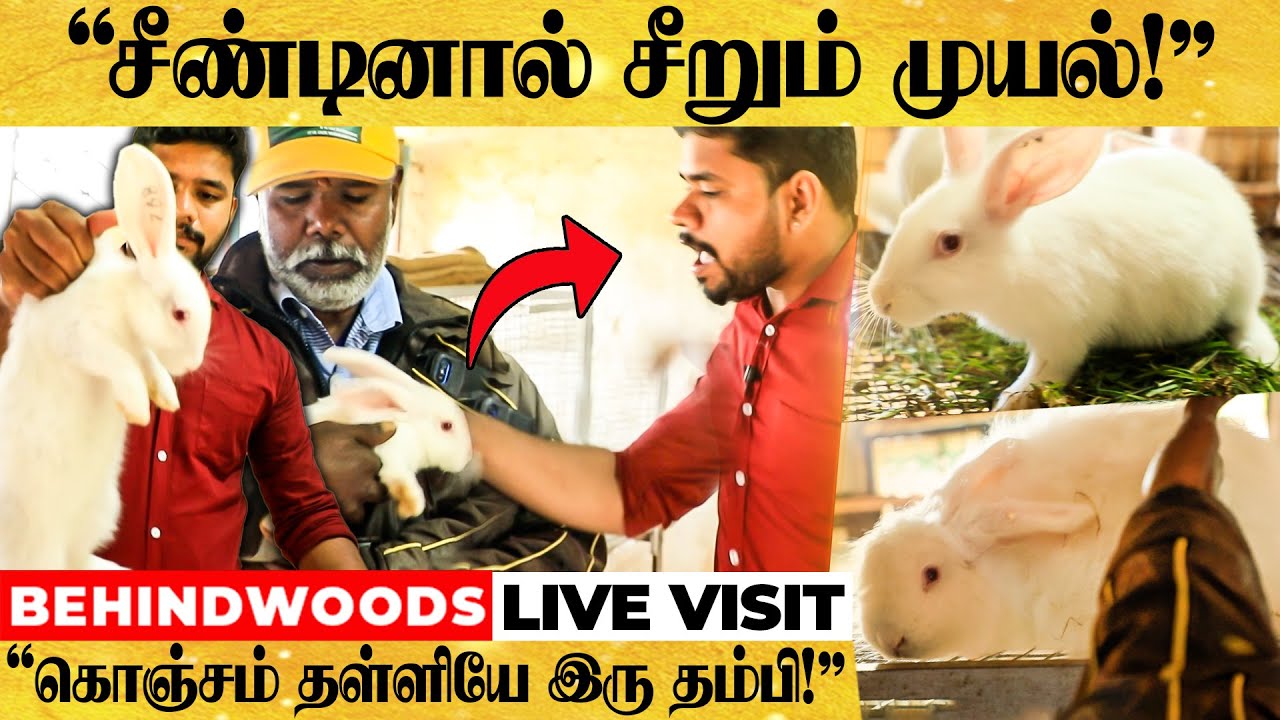 பயமுறுத்திய முயல்! மிரண்ட Anchor! ஒரு முயலுக்குள் இவ்ளோ SECRET ஒளிஞ்சிருக்கா?