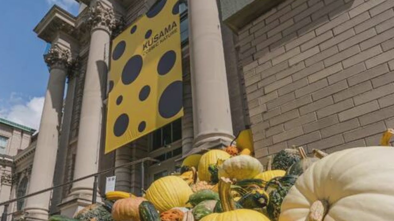 Fun fall activities around NY for the whole family