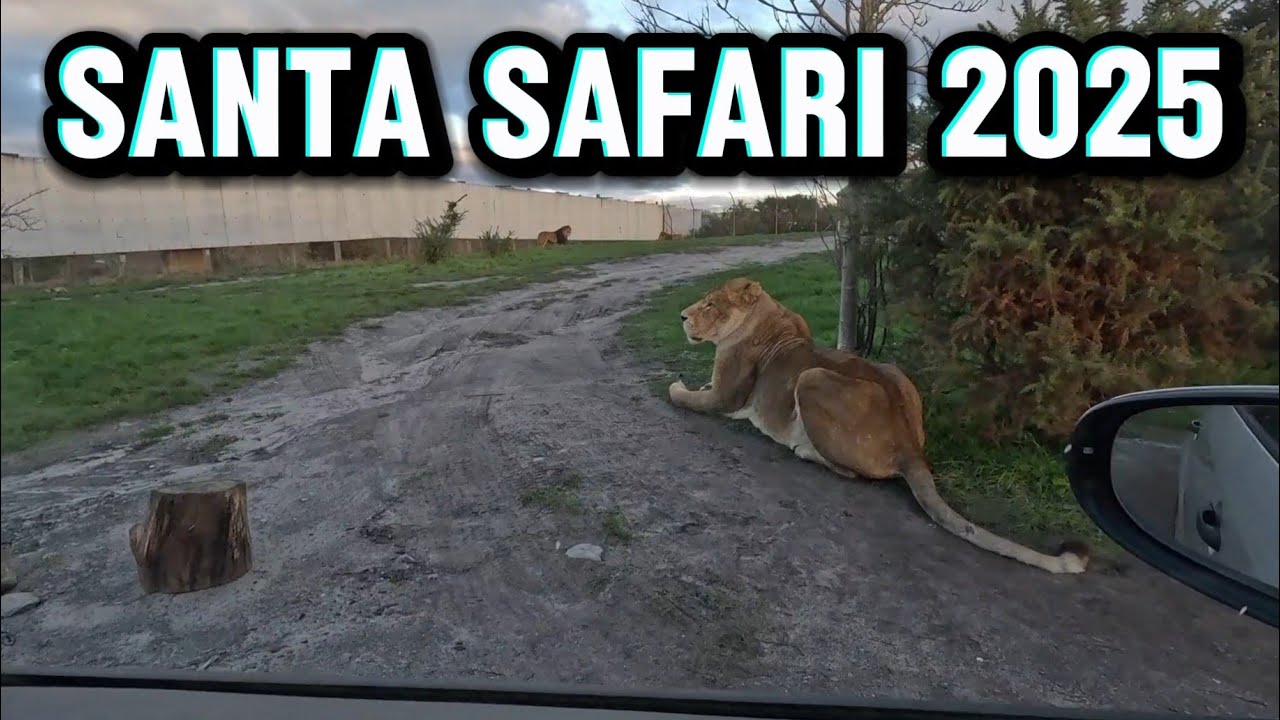 Santa Safari 2025