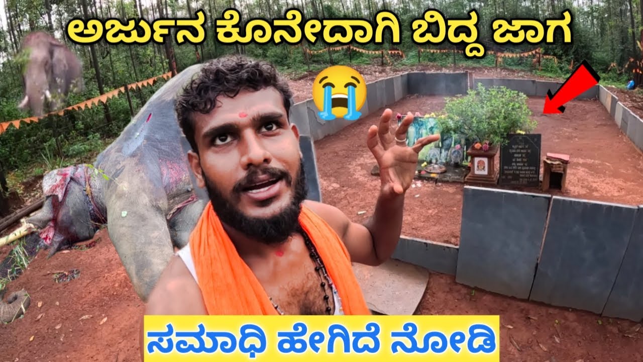 ಅರ್ಜುನನ ಸಮಾಧಿ ನೋಡಿ🐘😰Dasara Elephant Arjuna Samadi💔 | Avatar Shiva Official
