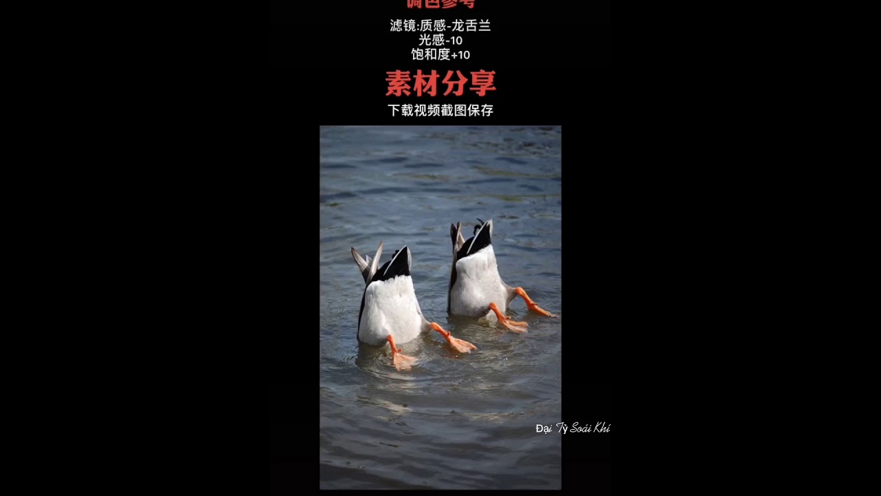 [ Douyin] edit thời nay nó ở cái tầm