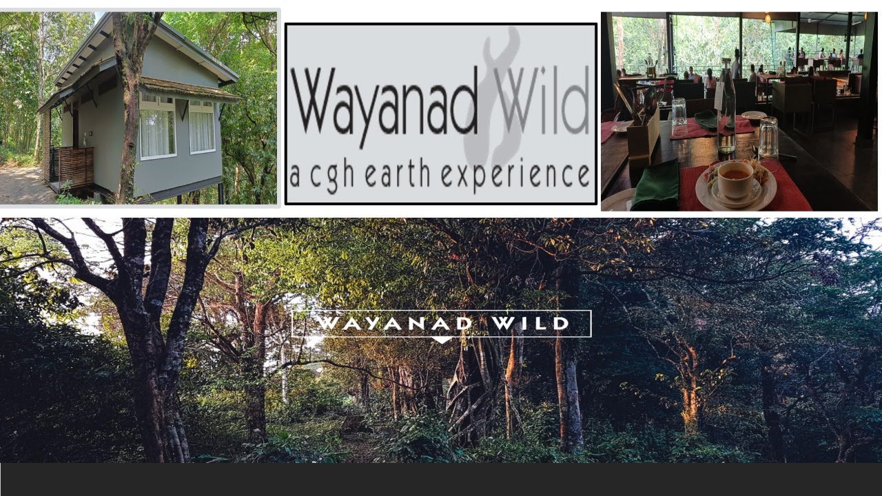 wayanad wild --- CGH Earth \vythri village \ best eco friendly resort wayanad wild