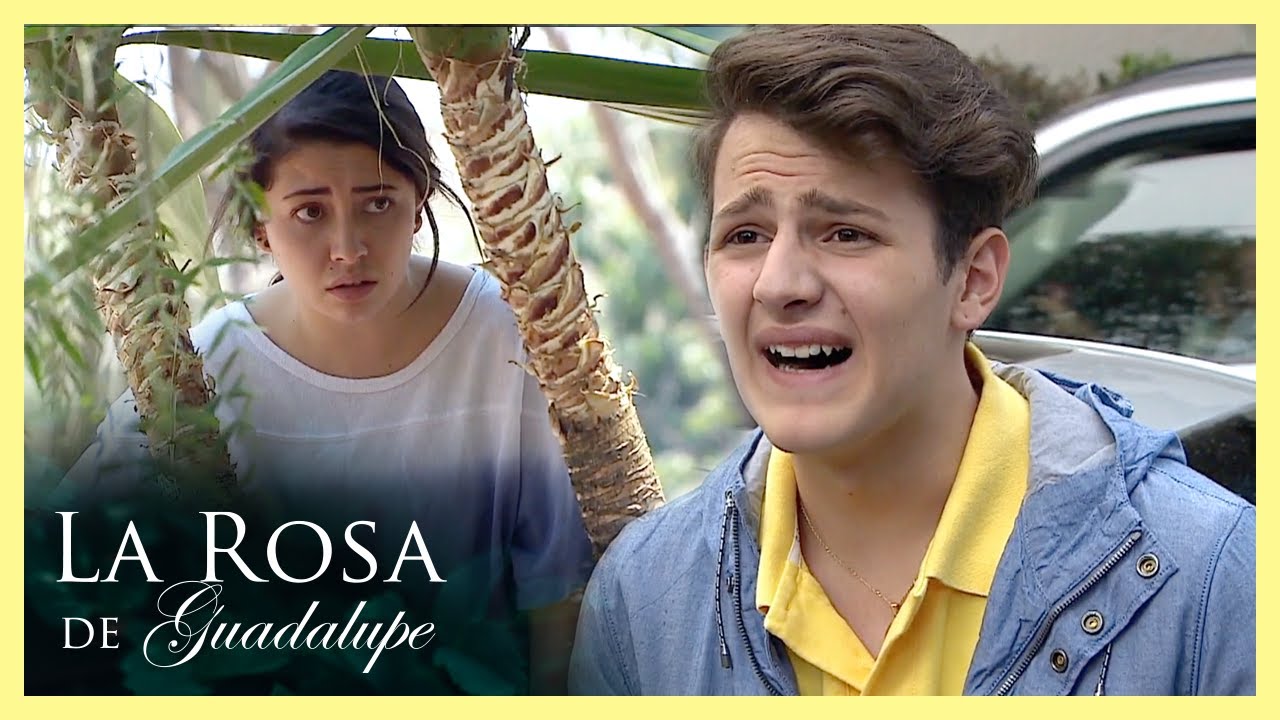 Alondra decide renunciar a Aldo | Besos en la cara | La Rosa de Guadalupe