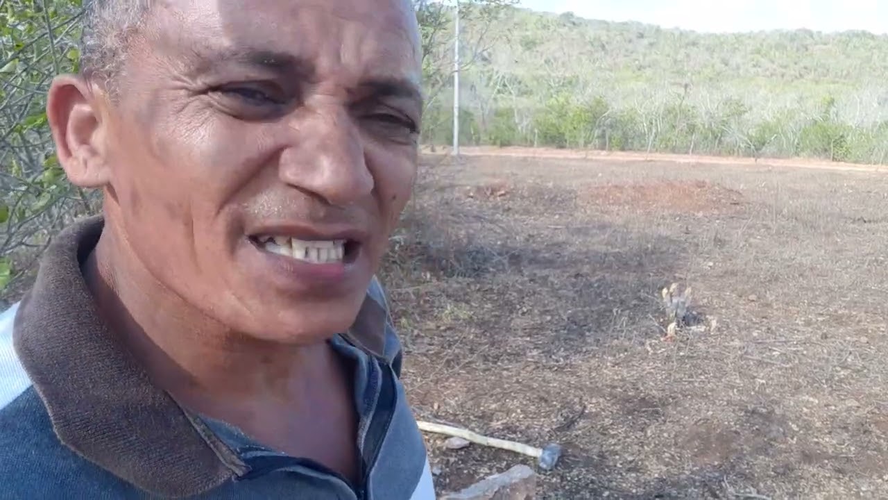 mais um dia trabalhando no sitio juntando as pedras para o alicerce
