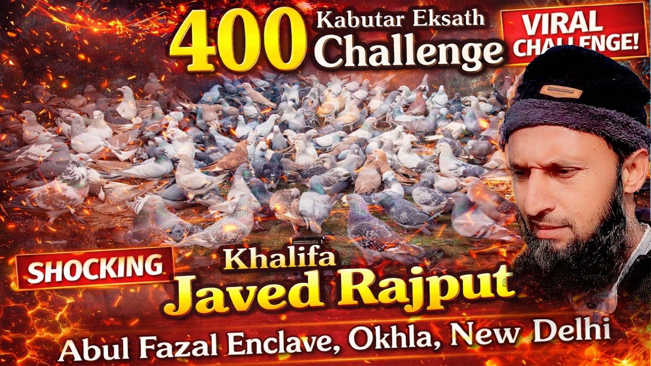400 Kabutr EK Sath Udane Ka Challenge, Khalifa Javed Rajput, Okhla, New Delhi