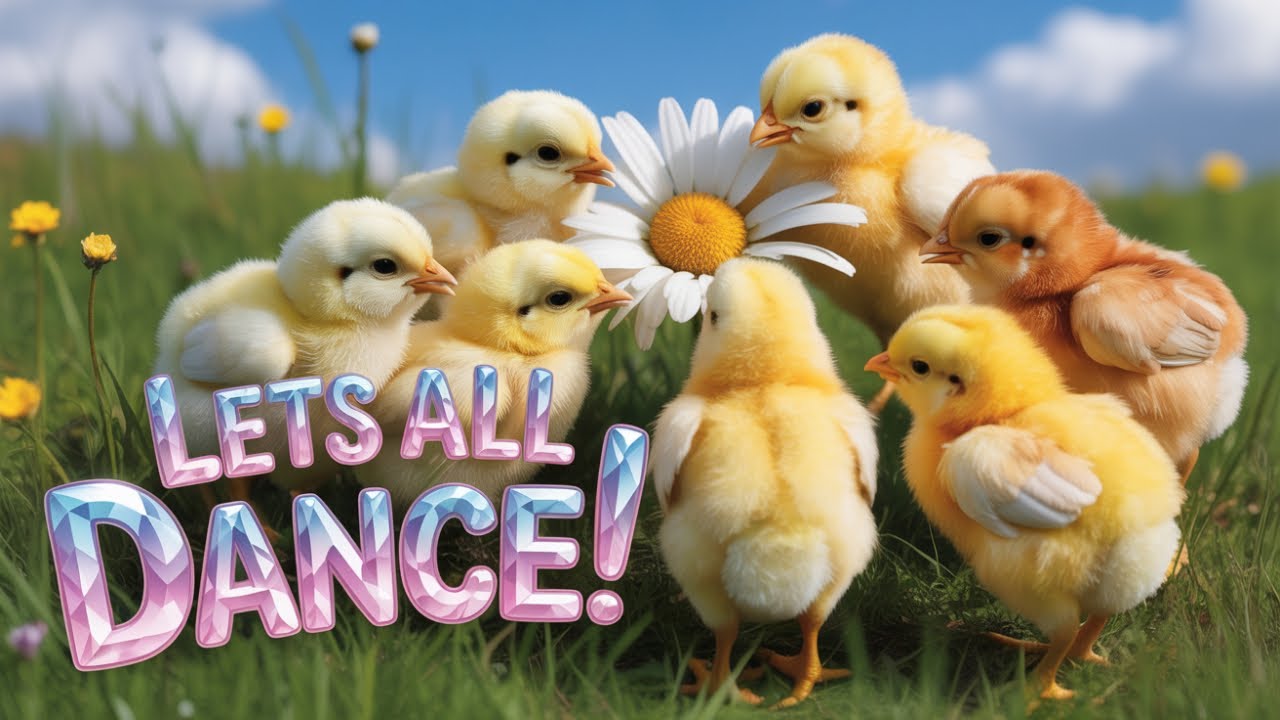 Chicks' Dance Song | Adorable Animals Dancing | Kids Music