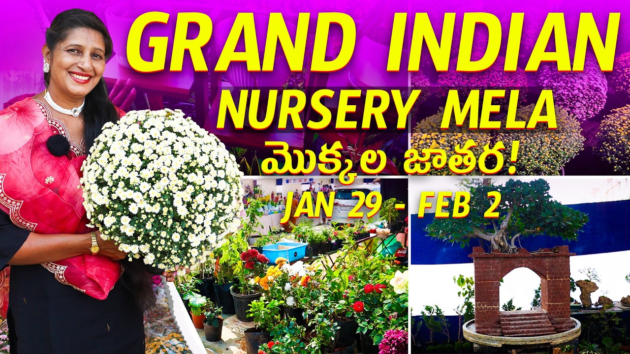 🔴Grand Indian Nursery Mela 2026 | మొక్కల జాతర!  at Necklace Road | Best Plants & Prices