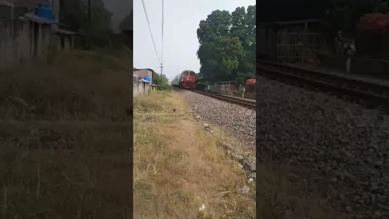 Lokomotif Red and Blue #keretaapiindonesia #kadhoho #perlintasankeretaapi #adsfamily