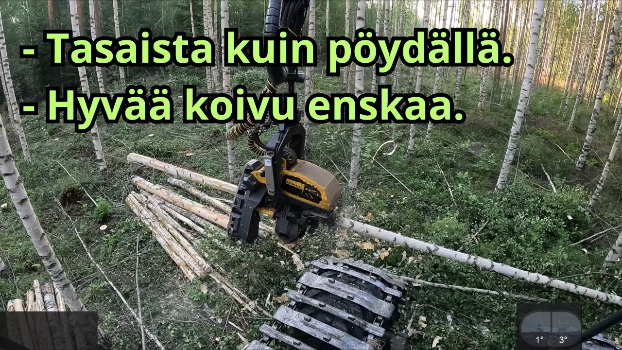 Tosi hyvää koivikon ensiharvennusta. VR110 Ponsse Scorpion K H7 AC FC