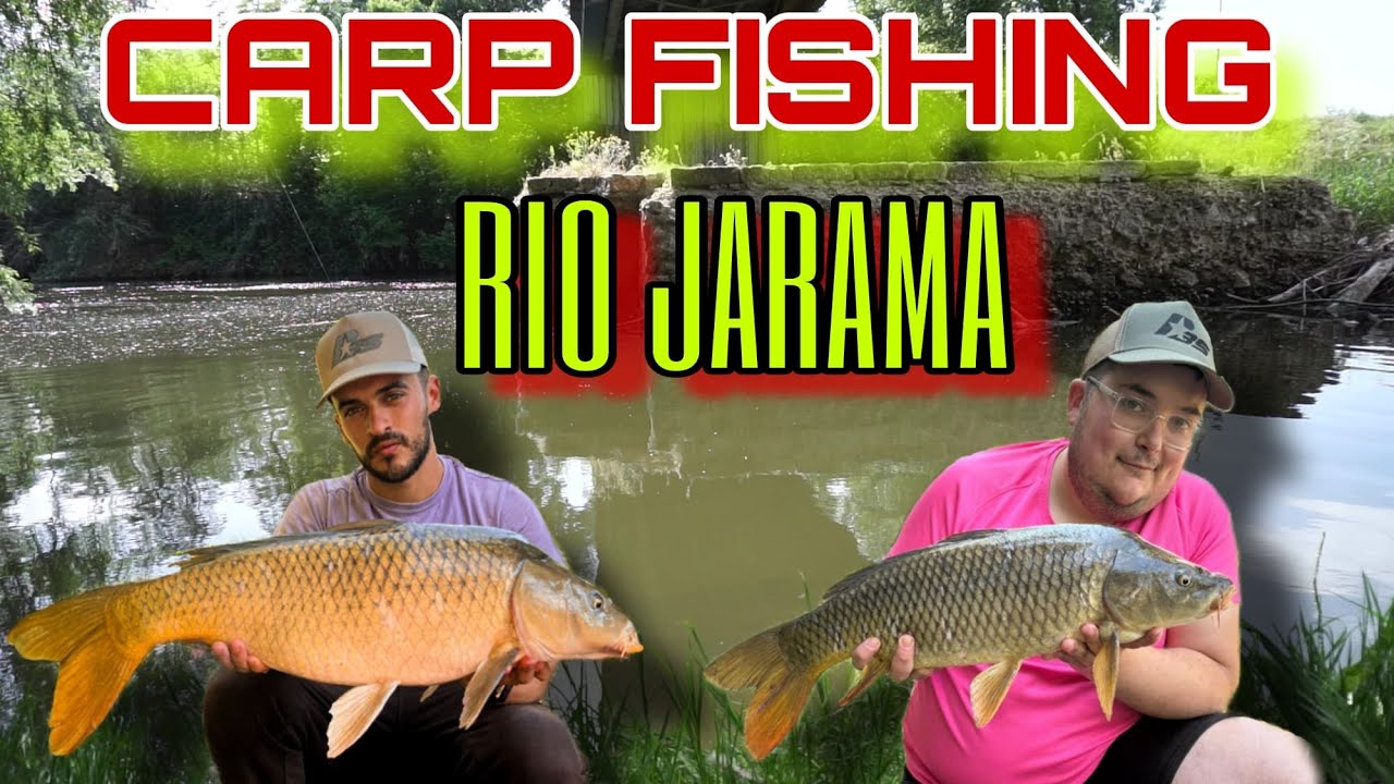 CARP FISHING EN EL RIO JARAMA | CARPAS GRANDES | 2025