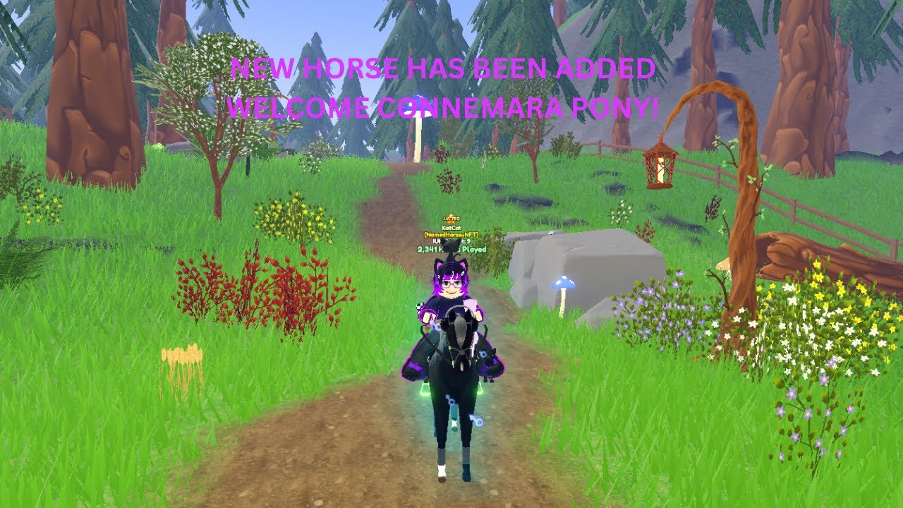 Wild Horse Islands: New Horse Breed: Connemara Pony! Update 2025 (Part 1/2)